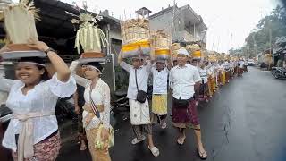 Download Lagu Tradisi Hindu di Bali: Prosesi Membawa Sarana Upacara ke Pura MP3
