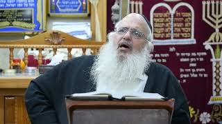 הרב שלמה לוינשטיין   פנינים מפרשת משפטים  שבט תשפ"ה