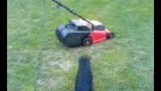 Jagd Terrier Versus Cortacesped