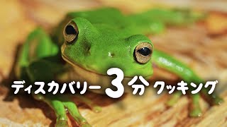 ディスカバリー3分クッキング | ゆでガエル (ディスカバリーチャンネル)