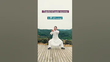 Taichi 4 Basic Moves 