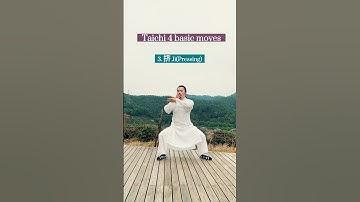Thumbnail of Taichi 4 basic moves