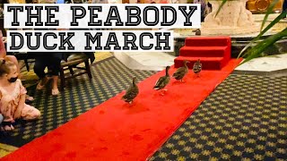 Peabody Memphis Morning Duck March