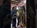 Main Koi Aur hun🤣#shortvideo #youtubeshortvideo #comedy #funny