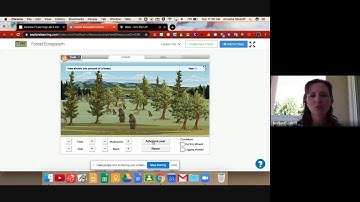 Forest Ecosystem Gizmo