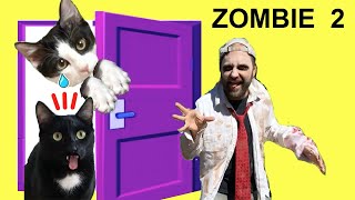 Gatos Luna y Estrella reaccionando a un zombi CAP 2 La vuelta a casa / Videos de gatitos