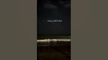 اكتب شيء تؤجر  عليه🤍 #قرآن #قران_كريم #قران_كريم_بصوت_جميل_جدا #قران #تلاوات #quran #تلاوة #تلاوة_خا