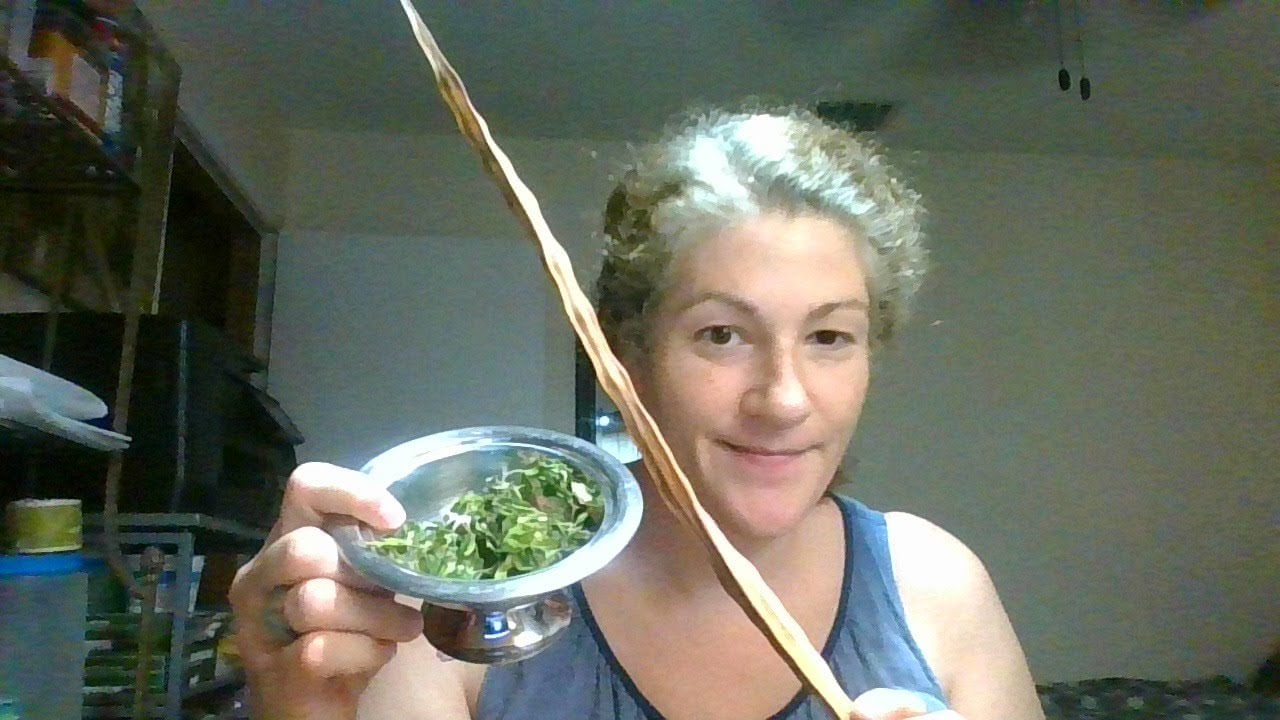 Moringa Tree Seeds Leaves Drying Propigating Eating  & Benefits