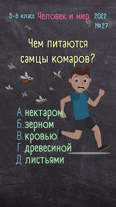 Человек и мир 5-6 класс 2022 №27 - YouTube