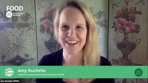 How science shapes narratives during crises like COVID-19 and climate change