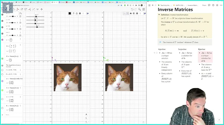 202.M3 What Kinds of Matrices are Invertible