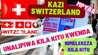 Visa Ya Kazi Switzerland Na Ufadhili  Kwenda