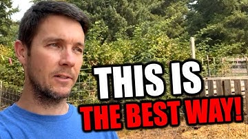 The Best Method for Managing Raspberry Rows