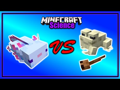 Does the Axolotl Attack Frogs and Tadpoles? | Minecraft Science