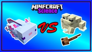 Does the Axolotl Attack Frogs and Tadpoles | Minecraft Science
