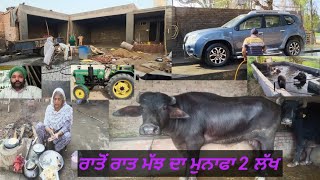 ਇੱਕ ਲੱਖ ਦੀ ਲਈ ਸੀ ਮੱਝ ਦੁਸਰੇ ਦਿਨੀਂ ਲੱਗਿਆ ਤਿੰਨ ਲੱਖ ਰੱਬ ਜਦੋਂ ਦਿੰਦਾ ਸੱਪਰ ਪਾੜ ਕੇ ਦਿੰਦਾ(by kheti Punjab di)