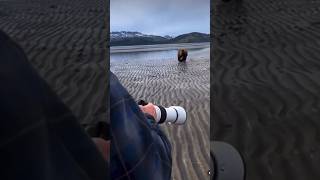 Man scares off a huge bear