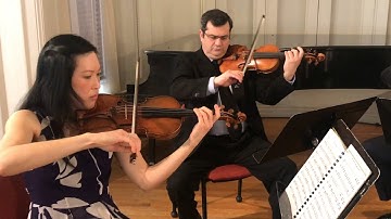 Terremoto (Earthquake) from Haydn