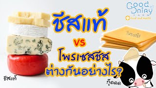 ชีสแท้ VS โพรเซสชีส ต่างกันอย่างไร? ความรู้รอบฟาร์มมีคำตอบ by กู๊ดแดรี่ฟาร์ม