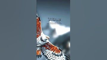 قرآن كريم #قرآن #shortvideo #المصحف #دويتو #duet #اكسبلور #راحة_نفسية #حالات_واتس #لايك #الرحمن