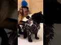 Monkey Babysitter Handles Bath Time Like a Pro #animals #hilarious #shorts