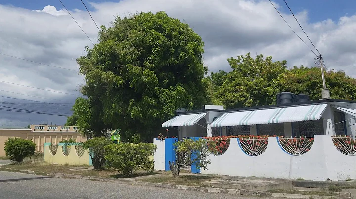 Driving through Cumberland | Jamaica
