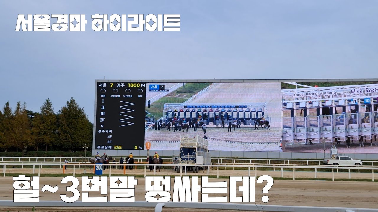 아구야~ 내돈 날라갔네! 쩝 (서울경마 하이라이트)