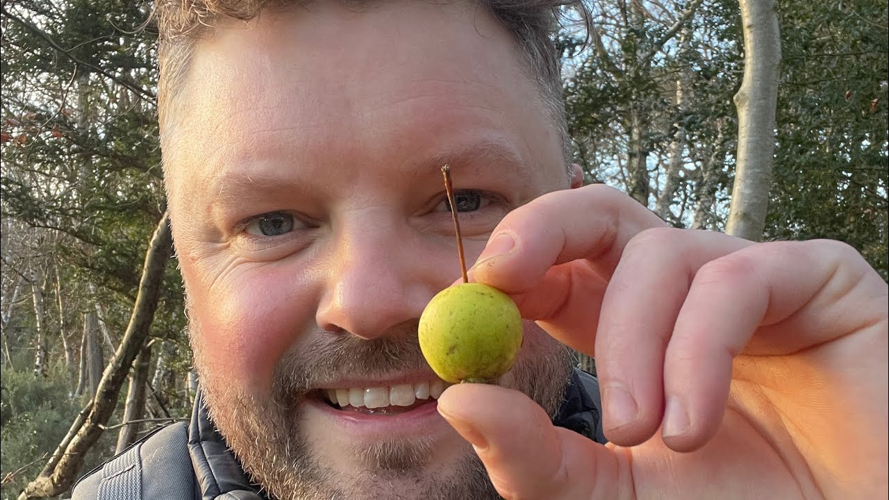 Рецепт ферментированной яблочной газировки