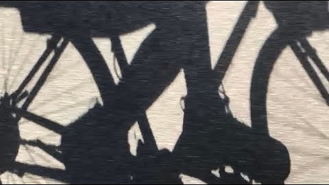 Milagro Guerra - Mourning Dove (Lofi Lyric Video)