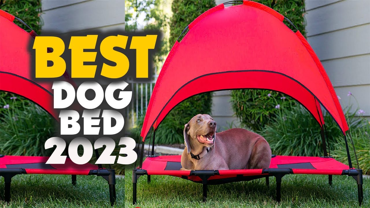 9 Best Elevated Dog Beds Of 2023 Reviews Top Picks YouTube 9-best-elevated-dog-beds-of-2023-reviews-top-picks-youtube