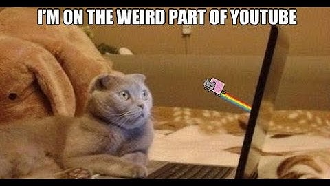 mvi_ & img_ default names, no views, its that that weird part of youtube 2009