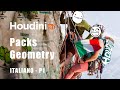 [ITA] -  VFXNGO Houdini 201 - Packs Geometry - Parte 1