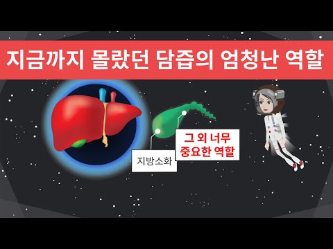 담즙의 놀라운 효능. 소화불량을 절대 그냥 넘기지 마세요.