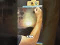 Painting Highlights: Easy Tips for Beginners to Create Stunning Art #shorts
