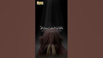 واتقوا يومًا ترجعون فيه إلى الله #سورة_البقرة #خالد_الجليل #trend #explore #اكسبلور #trending #قرآن