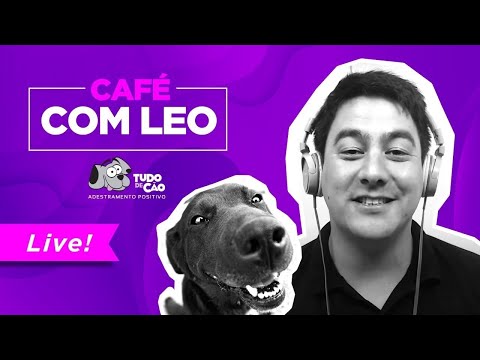 Café com Leo - Dúvidas de adestramento dos alunos do Portal Tudo de Cão Transforma