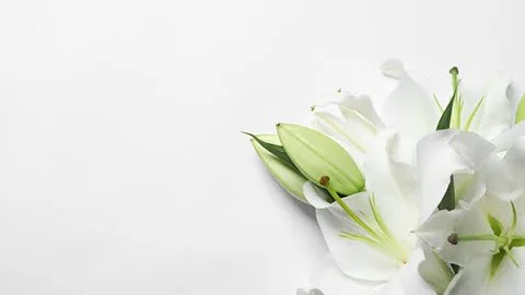 Funeral Mass for Alice Richter - September 15th, 2...