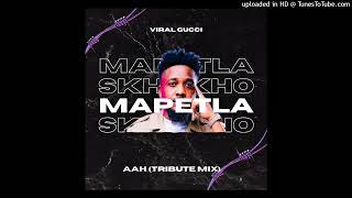 Mapetla - Aah (Viral Gucci's Tribute Mix)