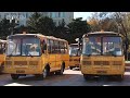 Более 300 школьных автобусов получат дагестанские школьники