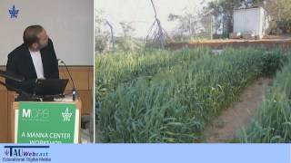 Strategies for Increasing Grain Weight and Quality in Wheat