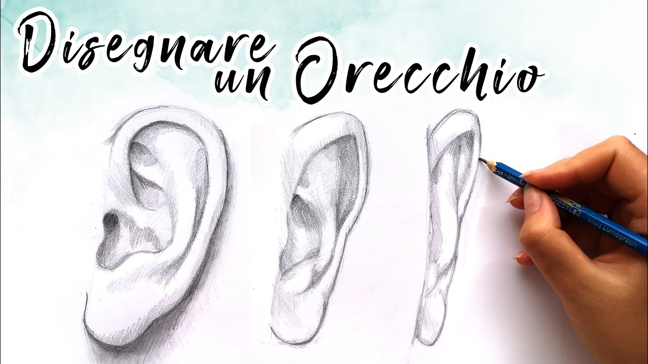 Come Disegnare Un Orecchio Tutorial Disegno Realistico A Matita Per Disegnare Le Parti Del Volto Youtube