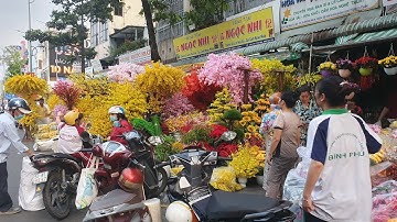 Rực rỡ sắc xuân chuẩn bị cho tết 2024