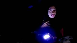 BERMALAM DIRUMAH POHON SENDIRIAN DIHUTAN DAN DITEMANI SUARA TONGGERET - GADIS petualang