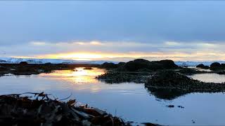 30 seconds of Icelandic seaside sunrise - ASMR crackling seaweed