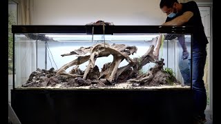 A beautiful root for an aquascape in the Nature Aquarium style - 4K
