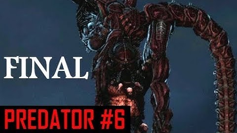 Predator #6 / Final in Pyramid - Aliens vs Predator 2010