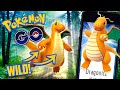 POKEMON GO - WILD DRAGONITE CHASE!