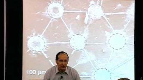 Human brain: fuse with computer chips, biodigital brain control, machines, health, Futurist speaker