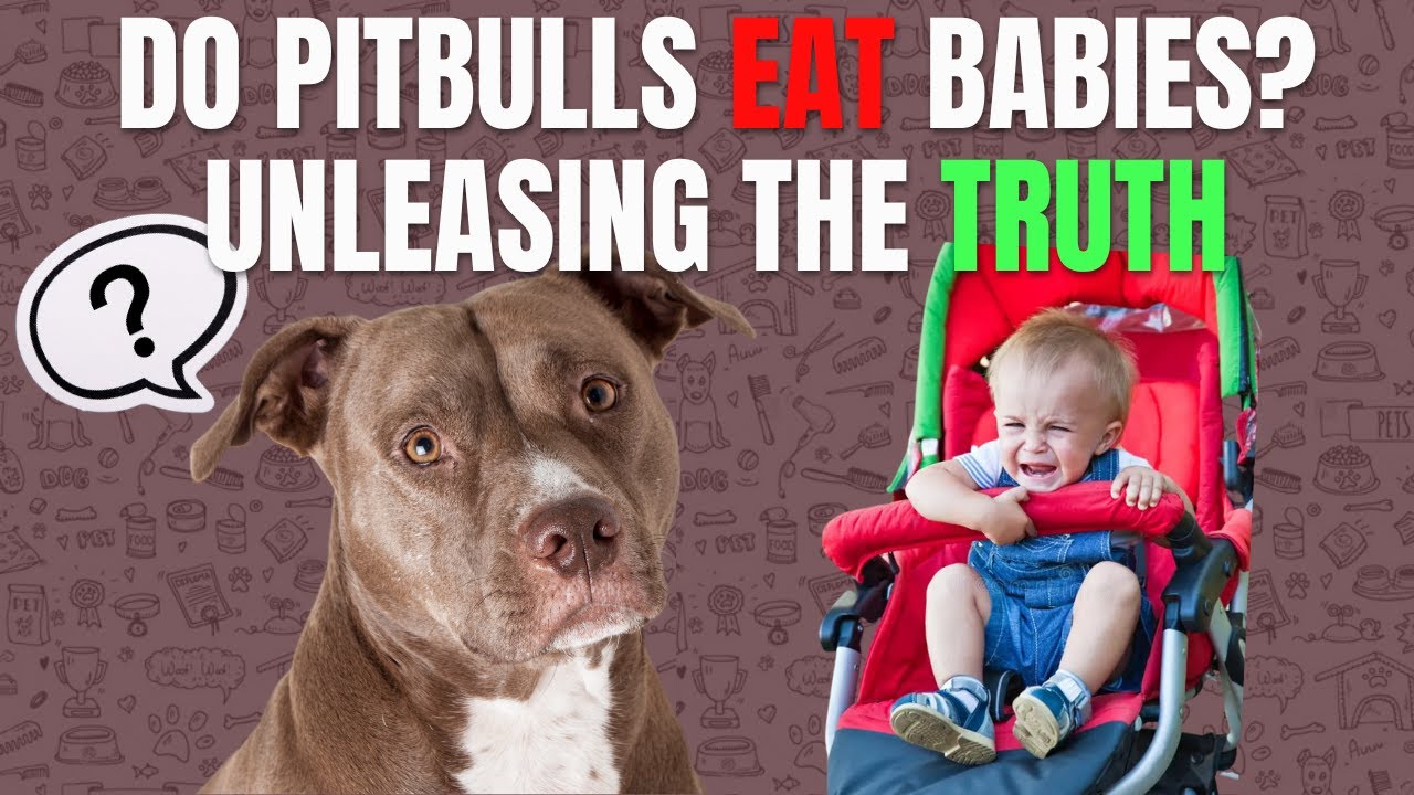 DO PITBULLS EAT BABIES YouTube DO PITBULLS EAT BABIES YouTube