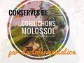 CONSERVE DE CORNICHONS  MOLOSSOL par Lactofermentation -En direct du potager